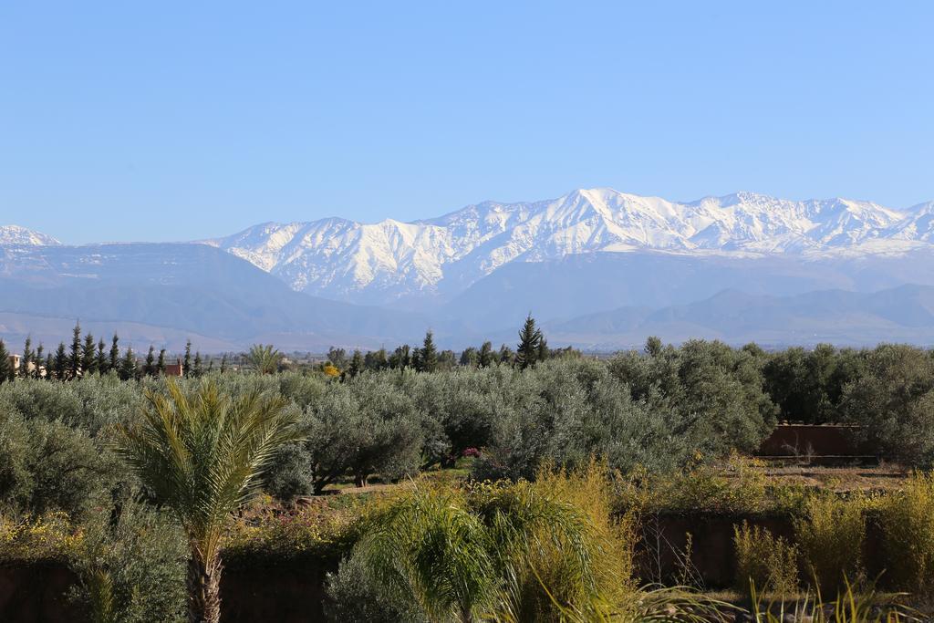 Riad Al Mendili Private Resort & Spa Had Abdallah Rhiat Dış mekan fotoğraf