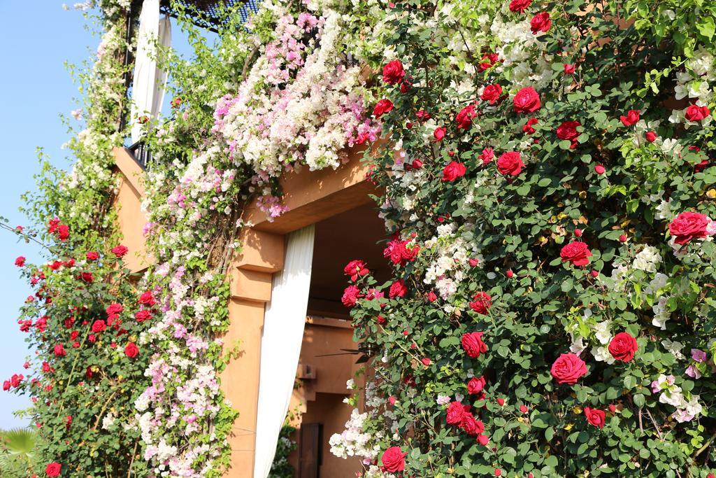 Riad Al Mendili Private Resort & Spa Had Abdallah Rhiat Dış mekan fotoğraf