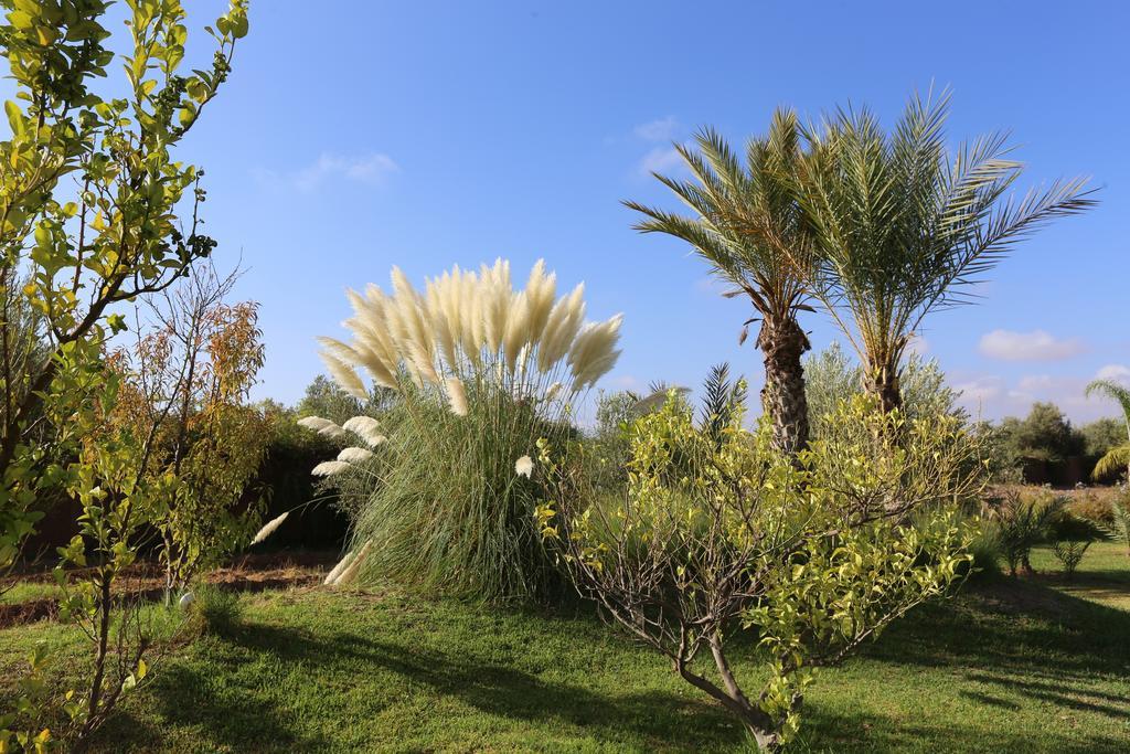 Riad Al Mendili Private Resort & Spa Had Abdallah Rhiat Dış mekan fotoğraf
