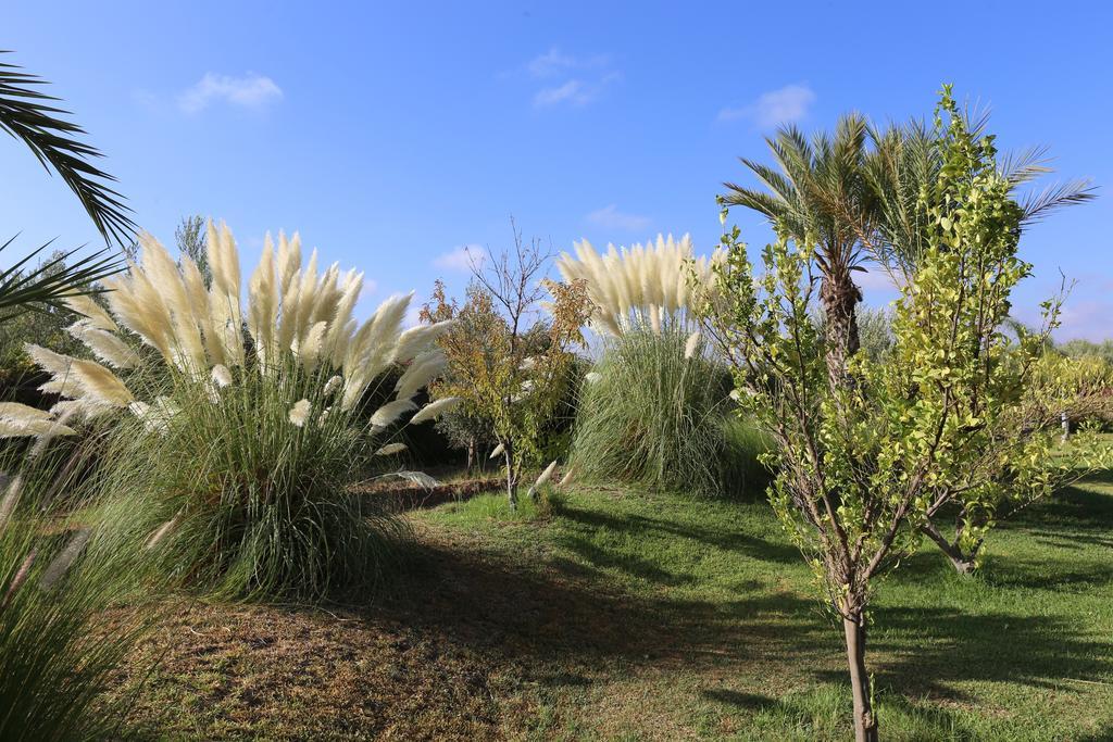 Riad Al Mendili Private Resort & Spa Had Abdallah Rhiat Dış mekan fotoğraf