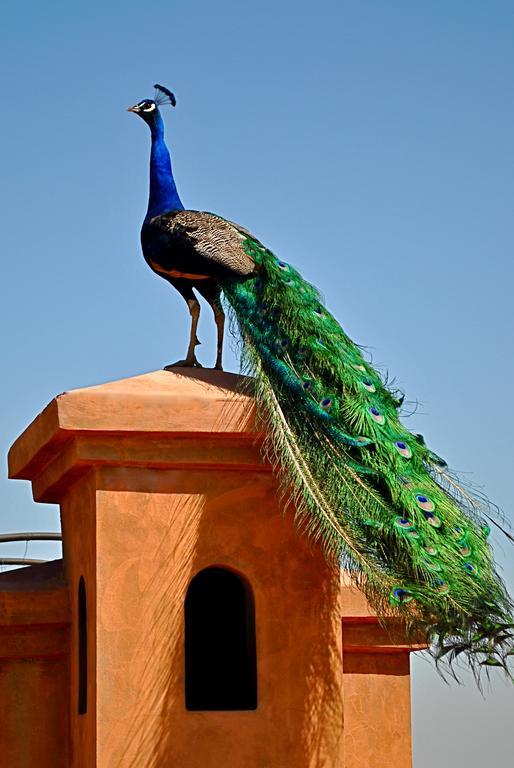 Riad Al Mendili Private Resort & Spa Had Abdallah Rhiat Dış mekan fotoğraf
