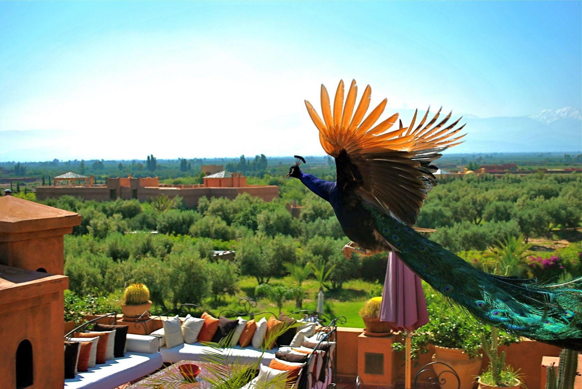 Riad Al Mendili Private Resort & Spa Had Abdallah Rhiat Dış mekan fotoğraf